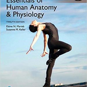 Essentials of Human Anatomy & Physiology (Global Edition) - eBooks