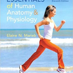 Essentials of Human Anatomy & Physiology (11th Edition)- eBook