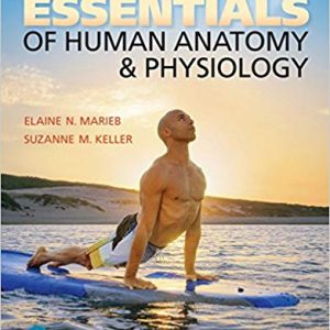 Essentials of Human Anatomy & Physiology (12th Edition) - eBook