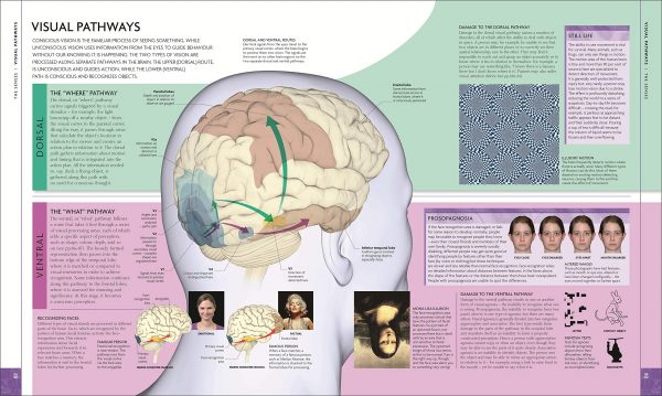 The Human Brain Book 3e pdf