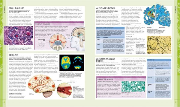 The Human Brain Book An Illustrated Guide 3e DK