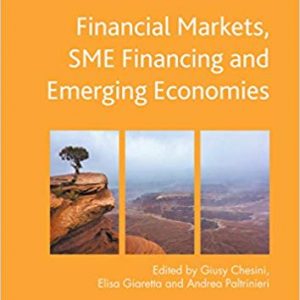 Financial Markets, SME Financing and Emerging Economies (Palgrave Macmillan Studies in Banking and Financial Institutions) - eBook
