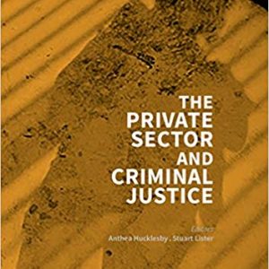 The Private Sector and Criminal Justice - eBook