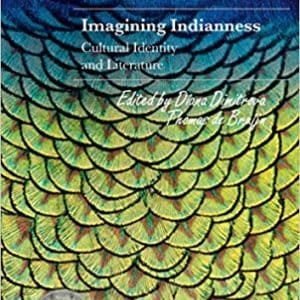 Imagining Indianness: Cultural Identity and Literature - eBook