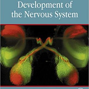 Development of the Nervous System (4th Edition) - eBook