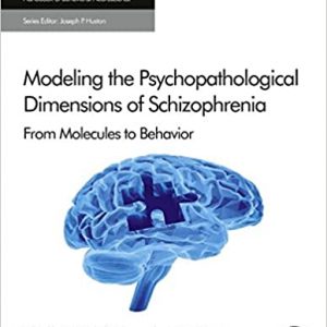 Modeling the Psychopathological Dimensions of Schizophrenia: From Molecules to Behavior - eBook