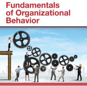Dubrin's Fundamentals of Organizational Behavior, 6th Edition (PDF)