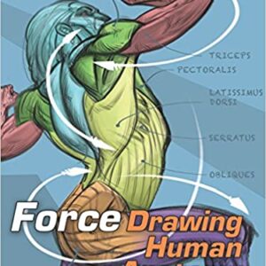 FORCE: Drawing Human Anatomy - eBook