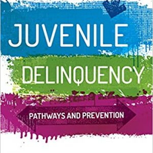 Juvenile Delinquency: Pathways and Prevention - eBook