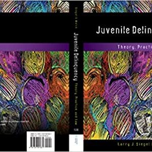 Juvenile Delinquency: Theory, Practice, and Law (13th Edition) - eBook