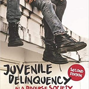 Juvenile Delinquency in a Diverse Society (2nd Edition) - eBook