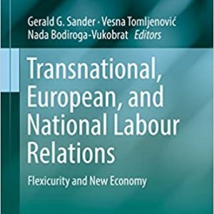 Transnational, European, and National Labour Relations: Flexicurity and New Economy - eBook