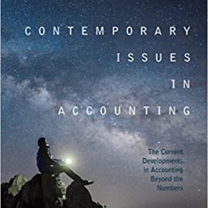 Contemporary Issues in Accounting: The Current Developments in Accounting Beyond the Numbers - eBook