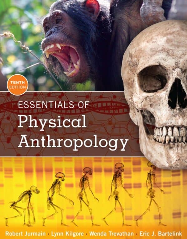 Essentials of Physical Anthropology (10th Edition) - eBook