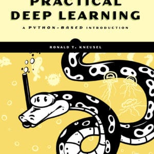 Practical Deep Learning: A Python-Based Introduction - eBook