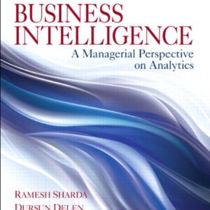 Business Intelligence: A Managerial Perspective on Analytics (3rd Edition) - eBook