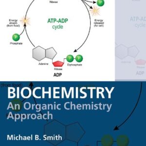 Biochemistry: An Organic Chemistry Approach - eBook