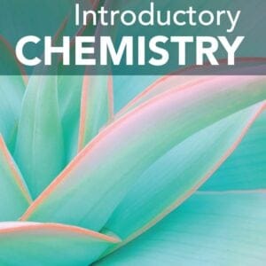 Introductory Chemistry (2nd Edition) - eBook