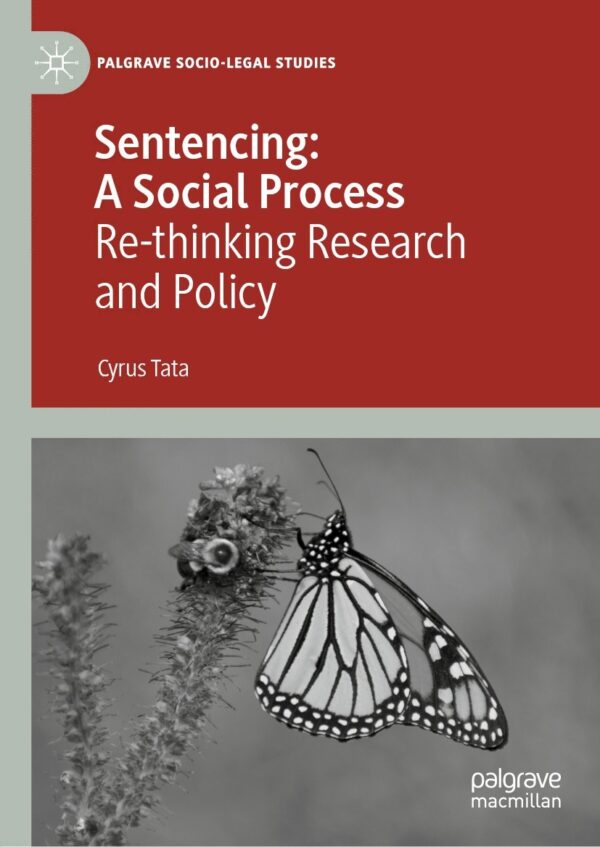 Sentencing: A Social Process: Re-thinking Research and Policy - eBook
