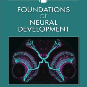 Foundations of Neural Development - eBook