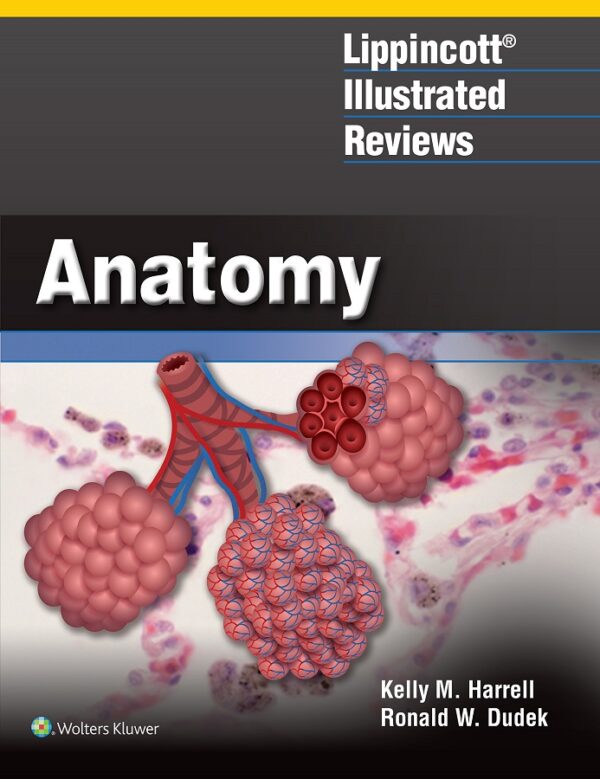 Lippincott® Illustrated Reviews: Anatomy- eBook