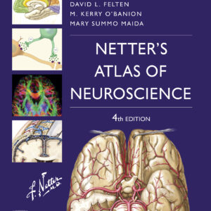 Netter's Atlas of Neuroscience (4th Edition) - eBook