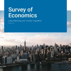 Survey of Economics, Version 2.0 - eBook