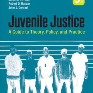 Juvenile Justice: A Guide to Theory, Policy, and Practice (9th Edition) - eBook