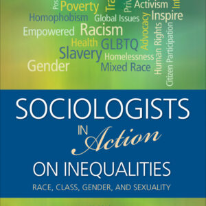 Sociologists in Action on Inequalities: Race, Class, Gender, and Sexuality - eBook