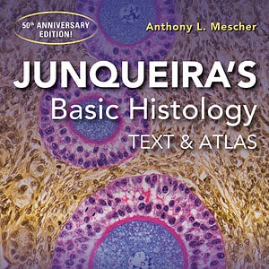 Junqueira's Basic Histology: Text and Atlas (16th Edition) - eBook