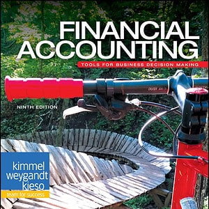 Financial Accounting: Tools for Business Decision Making (9th Edition) - eBook